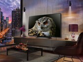 Il TV OLED LG C5 del 2025 sembra avere lo stesso supporto del vecchio C4 (sopra). (Fonte: LG)