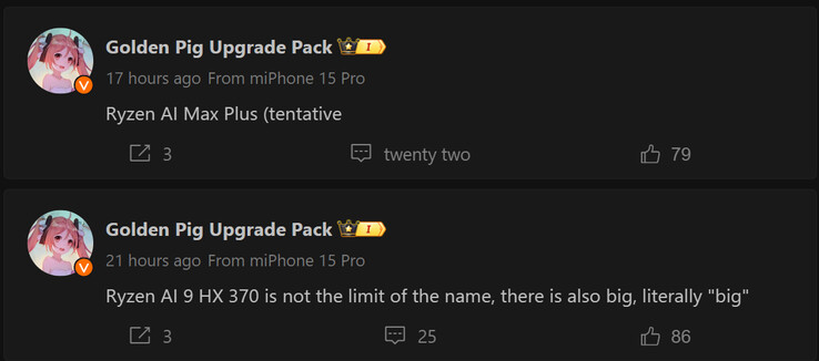 Rapporto di Golden Pig Upgrade sulle nuove APU AMD Ryzen AI serie 300 (Fonte immagine: Weibo - traduzione automatica)