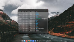 Il desktop di Br OS con la finestra del Terminale (Fonte: Br OS)