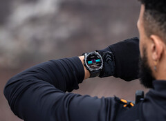 Fenix E e Fenix 8 sono i primi smartwatch Fenix con display AMOLED. (Fonte: Garmin)