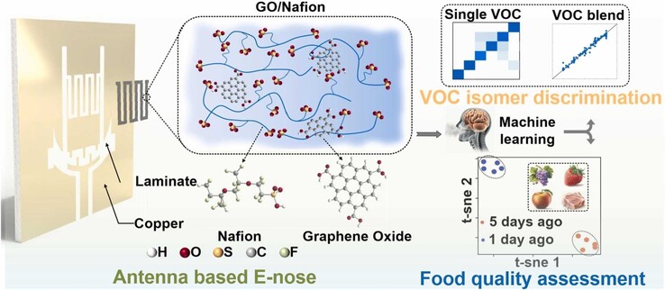 Un estratto grafico del sensore a singola antenna rivestito di ossido di grafene. (Fonte immagine: ScienceDirect)