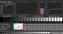 CalMAN: scala di grigi (calibrata)