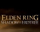 FromSoftware non ha fretta di lanciare un sequel di Elden Ring (fonte immagine: FromSoftware)