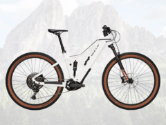 La e-bike 2024 Bulls Sonic Eva TR 1 29 ha un motore Bosch Performance Line CX. (Fonte: Bulls)