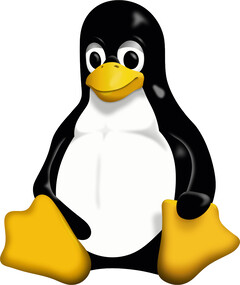 Il Kernel 6.11 di Linux è in arrivo, e porta il supporto per il nuovo hardware. (Immagine: Wikimedia Commons)