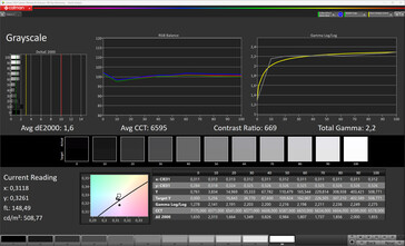 Visualizzazione interna in scala di grigi (Profilo: Professionale, Standard; Spazio colore di destinazione: sRGB)