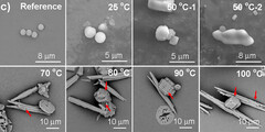 Frammenti di plastica nell&#039;acqua (Fonte: Environmental Science &amp;amp; Technology Letters via ScienceAlert)