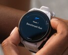 Diversi smartwatch Garmin Forerunner stanno ricevendo l'aggiornamento beta versione 21.18. (Fonte: Garmin)